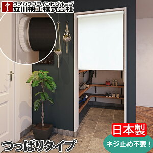 [XN[ ς eV mrX @H FIRSTAGE I[_[ ^`J [uCh ˂ cbp  rXsv lWsv { Y Qualie NIG TR-1081`TR-1088 