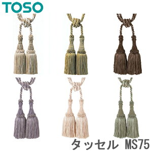 J[e ^bZ TOSO J[e[pi g[\[ MS75 (1{) J[e^bZ  k ANZT[ `[ Vv J[eߋ z_[ [ CeA G 킢