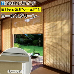 | |X_ ^`J [XN[ NV[h RS1670`RS1671 ij 25`200cm×30`240cm h [J[e I[_[