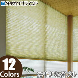 プリーツスクリーン タチカワ ペルレ おすすめダブル ワンチェーン操作 ミズホ PS2145〜PS2156 幅241cm〜280cm×丈221cm〜260cm