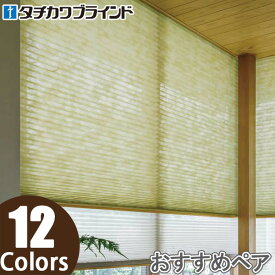 プリーツスクリーン タチカワ ペルレ おすすめペア ワンチェーン操作 ミズホ PS2145〜PS2156 幅241cm〜280cm×丈221cm〜260cm