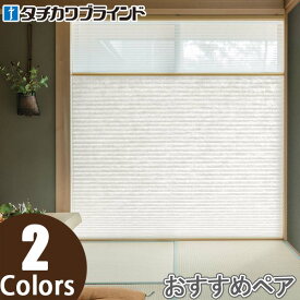 プリーツスクリーン タチカワ ペルレ おすすめペア ワンチェーン操作 セイリュウ PS2157〜PS2158 幅241cm〜280cm×丈221cm〜260cm