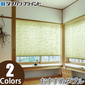 プリーツスクリーン タチカワ ペルレ おすすめダブル ワンチェーン操作 ミカゲ PS2159〜PS2160 幅241cm〜280cm×丈221cm〜260cm