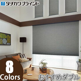 プリーツスクリーン タチカワ ペルレ おすすめダブル ワンチェーン操作 エーレ PS2348〜PS2355 幅241cm〜280cm×丈221cm〜260cm