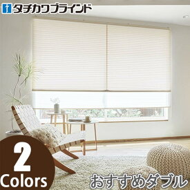 プリーツスクリーン タチカワ ペルレ おすすめダブル ワンチェーン操作 サブレ PS2356〜PS2357 幅241cm〜280cm×丈221cm〜260cm