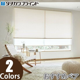 プリーツスクリーン タチカワ ペルレ おすすめペア ワンチェーン操作 サブレ PS2356〜PS2357 幅241cm〜280cm×丈221cm〜260cm
