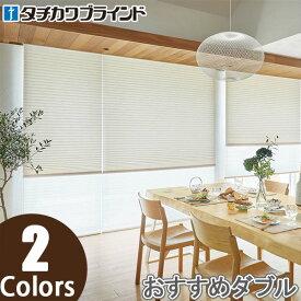 プリーツスクリーン タチカワ ペルレ おすすめダブル ワンチェーン操作 ラミエ遮熱 PS2358〜PS2359 幅241cm〜280cm×丈221cm〜260cm