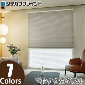 プリーツスクリーン タチカワ ペルレ おすすめダブル ワンチェーン操作 遮光 ヴォレ PS2436〜PS2442 幅241cm〜271cm×丈221cm〜248cm