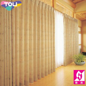  I[_[J[e fuful tt TKF30338 a J[e \tgv[cHiSLj 2{q_