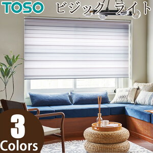 ���[���X�N���[�� TOSO �r�W�b�N���C�g �t���[�� TR6736�`TR6738 ��121�`160cm×��241�`250cm ���� ���[���J�[�e��