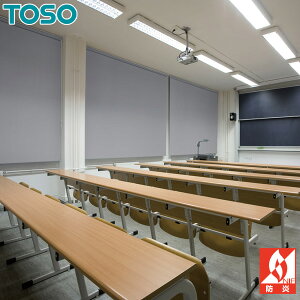 ���[���X�N���[�� ���[���J�[�e�� �I�[�_�[ �g�[�\�[ TOSO ���{�� ���m�v���[��BC �Ռ�1�� TR6212�`TR6216 ��81�`120cm×��281�`300cm