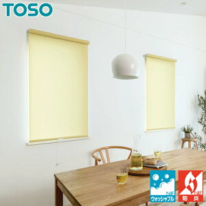 TOSO [XN[ mv[oCI EHbVu TR6080`TR6082 30`50cm×201`240cm [J[e I[_[ g[\[ ډB