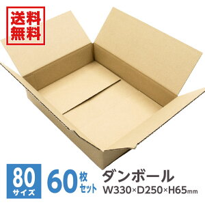 _{[ i{[ _{[ i{[ 80TCY yNuz W330mm×D250mm×H65mm 60EkCE͔̔s