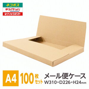 [փP[X _{[ A4p 24mm 100 [ lR|X i{[  t} |XgC ^gE bR^ W310xD226xH24kC͕ʑAE͔̔s