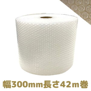 GAZ}bg GA[ v` GALbv [ 30cm 300mm 42m RS-90 GApbL ɏՍ  CAɏՍ  a GA[NbV [L1] yRS90-300-42z