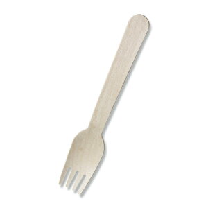 SWAN ؐtH[N #160 o 100{