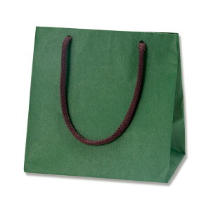 y1܂Ń}g^A}փRpNgΉzHEIKO  J[`[obO MW O[ 10