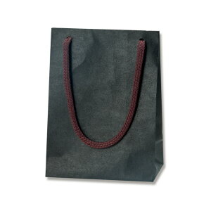 y1܂Ń}g^A}փRpNgΉzHEIKO  J[`[obO T-4  10