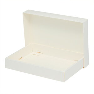 HEIKO  \tBA{bNX SO-010 n 10