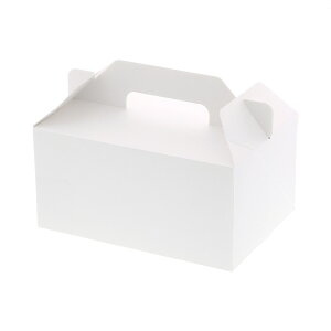 HEIKO  NL[P[X zCg 15×21 25