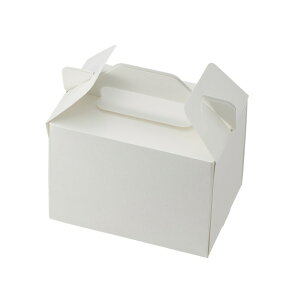 HEIKO  XGRL[P[L 10.5×15 P[L2~3p zCg 50