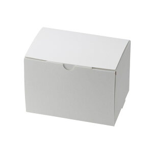 HEIKO  XGRP[L 10.5×15 P[L2~3p zCg 50