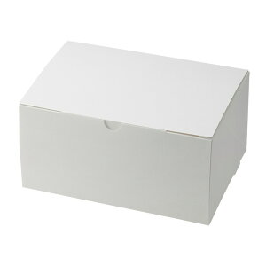 HEIKO  XGRP[L 15×21 P[L6~7p zCg 50