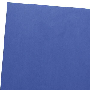 HEIKO 緩衝材 PC薄葉紙 半才 B04 ロイヤルブルー 50枚