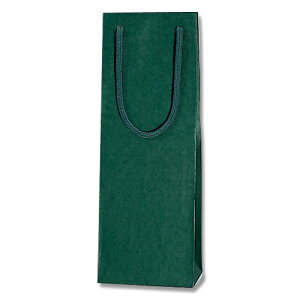 HEIKO@܁@J[`[obO@CL@1{p@O[@10