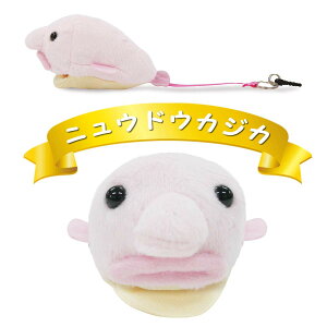 X}zEKl|I[CN[i[ujEhEJWJvy`OȂ瑗260~zhKTM