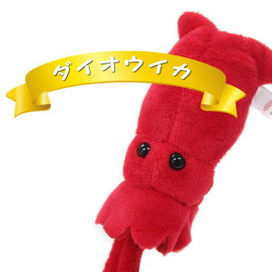 X}zEKl|I[CN[i[u_CIECJvy`OȂ瑗260~zhKTM