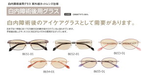 白内障 術後用 グラス 8653-01 紫外線カット まぶしさ 埃 対策 サングラス 手術 必需品