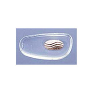 VRG17×8@TjV Kl̕@pbg83|101@ 1yA `OΉ