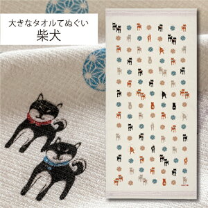 RebNX(kontex) 傫ȃ^IĂʂ {ij100 oX^I100  K X|[c Mtg   v[g L     ̂