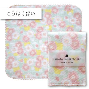 RebNX(kontex) ͂΂ nCJnJ`[t ^InJ` ͂񂩂 Handkerchief {ijЖʃK[[ `l g˕l yY v`Mtg g ~