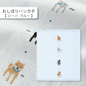 RebNX kontex V[ou[ ڂnJ` ͂K[[ ͂񂩂 dK[[ {  100  Mtg   v[g z A  N Č