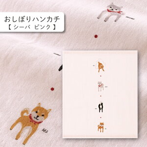 RebNX kontex V[osN ڂnJ` ͂K[[ ͂񂩂 dK[[ {  100  Mtg   v[g z A  N Č