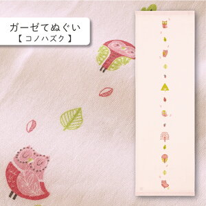 RebNX(kontex) RmnYN ͂K[[ K[[Ăʂ dK[[ {  100  Mtg   v[g z A  N