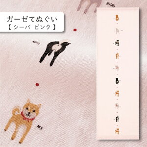 RebNX(kontex) V[o sN ͂K[[ K[[Ăʂ dK[[ {  100  Mtg   v[g z A  N