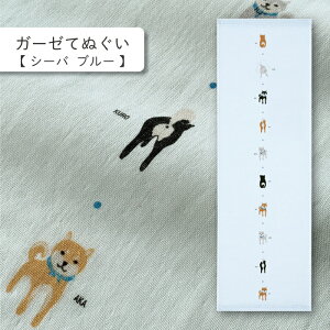 RebNX(kontex) V[o u[ ͂K[[ K[[Ăʂ dK[[ {  100  Mtg   v[g z A  N