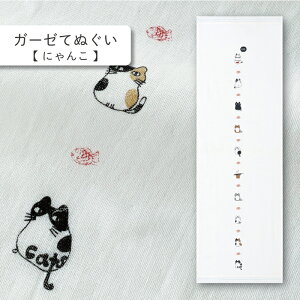 RebNX(kontex) ɂ ͂K[[ K[[Ăʂ dK[[ {  100  Mtg   v[g z A  N