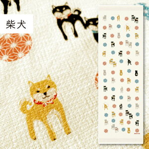 RebNX(kontex) Č z ^IĂʂ tFCX^I @ {ij 100  K X|[c Mtg   v[g  ΂ ΂