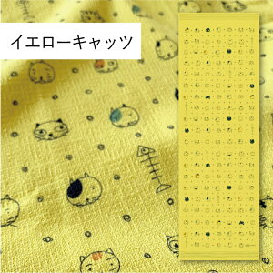 RebNX(kontex) CG[Lbc z ^IĂʂ tFCX^I @ {ij 100  K X|[c Mtg   v[g ˂ L ˂