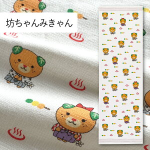 RebNX(kontex) V݂ z ^IĂʂ tFCX^I @ {ij 100  K X|[c Mtg   v[g Q