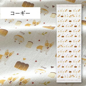 RebNX(kontex) R[M[ z ^IĂʂ tFCX^I @ {ij 100  K X|[c Mtg   v[g  Hp