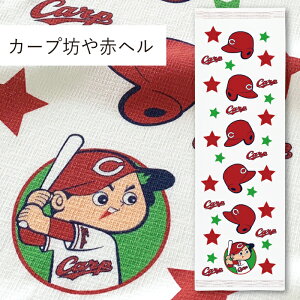 RebNX(kontex) J[vVԃw z ^IĂʂ tFCX^I @ {ij 100  K X|[c Mtg   v[g LJ[v