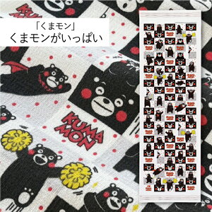 RebNX(kontex) u܃v܃ς z ^IĂʂ tFCX^I @ {ij 100  K X|[c Mtg   v[g C