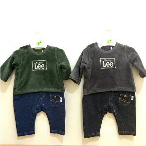 ofB[ BUDDY LEE [ {bNXShJ t[XZp[gp[X p[X oYj Mtg 60 70 80cm xr[