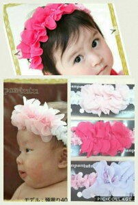 panpantutuxr[(pp``jԂтwA[oh oYj/wA[ANZT[/Ԃт/{Q/xr[