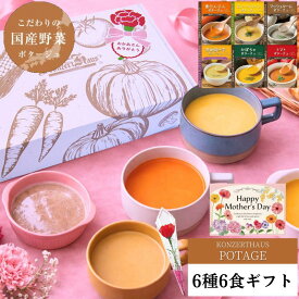 遅れてごめんね 母の日 スープ ギフト プレゼント 父の日 出産祝 内祝 お見舞い 国産こだわり野菜のポタージュスープ6種6食ギフトセット｜常温保存 無添加 レトルト ヘルシー 野菜スープ 健康ギフト 誕生日 御礼 御祝 お見舞い 退院祝 快気祝